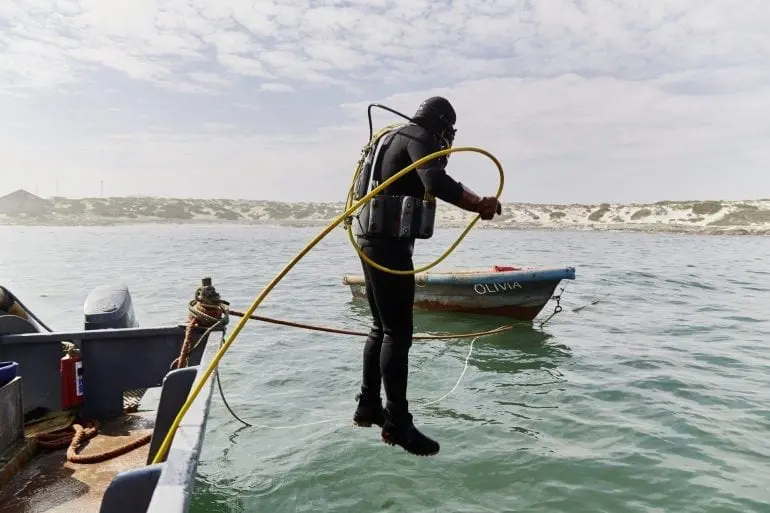 bd_safaridiving_0200