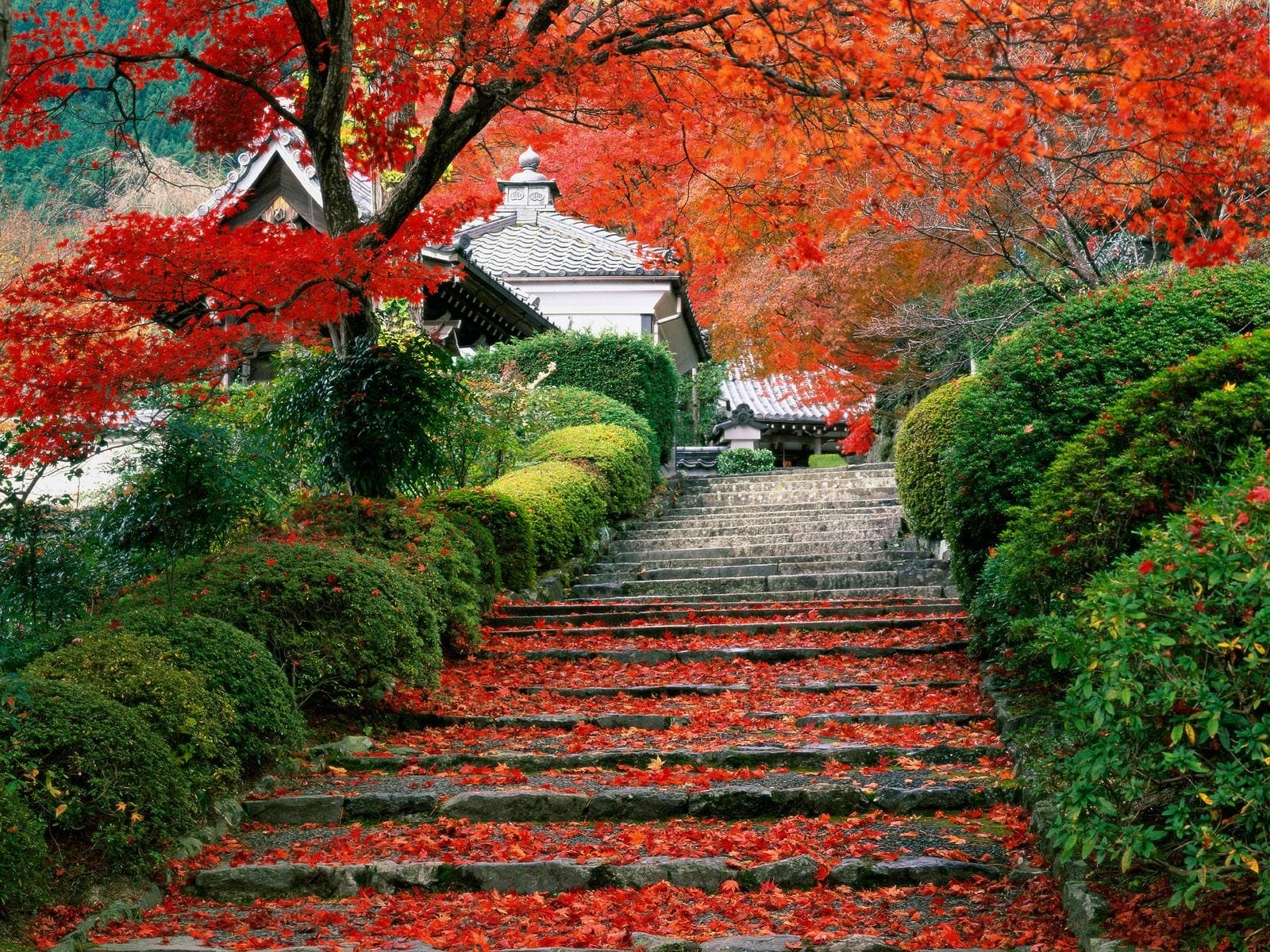garden-staircase-kyoto-japan