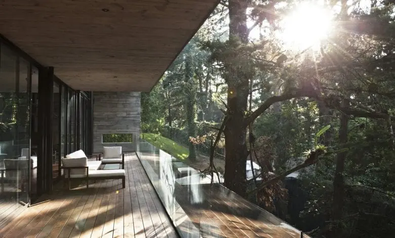 Corallo House – Casa din copac… sau copacul din casă