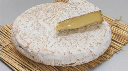 Brie de Meaux AOC