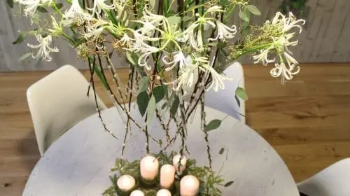 Florăria Iris – un brand cu pasiune încă din 1921