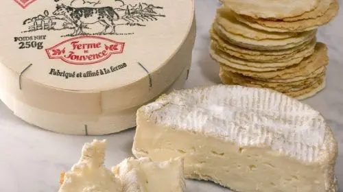 Brie și Camembert  sau recunoștința ca liant în gastronomie