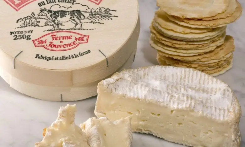 Brie și Camembert  sau recunoștința ca liant în gastronomie