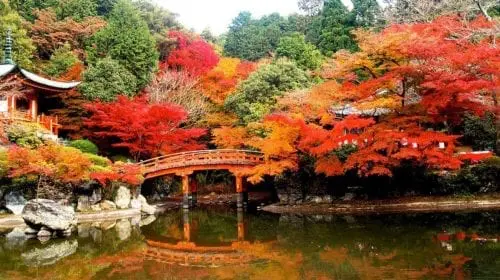 Suiran – o nouă destinație de lux inaugurată în Japonia