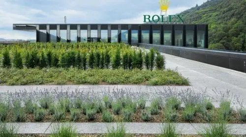 10 lucruri pe care trebuie să le ştii despre ceasurile Rolex