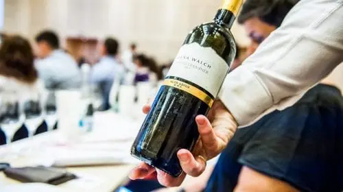 Women in Wine Business, ediţie de excepție  Wine-Wine Evenings