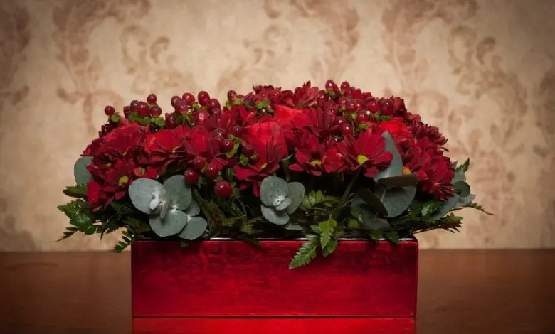 EMOTIONS CARE –  Cum presiunea branșei medicale poate genera un business al emoțiilor