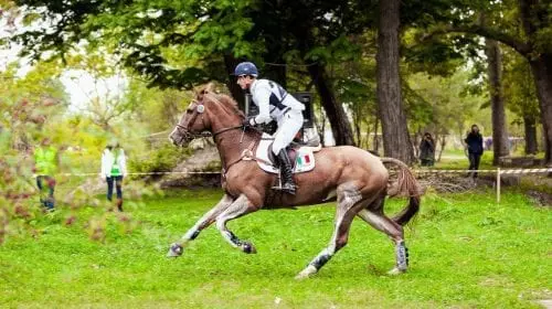 Karpatia Horse Show ajunge la ediția a III-a