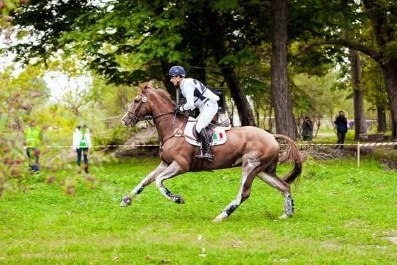 Karpatia Horse Show ajunge la ediția a III-a