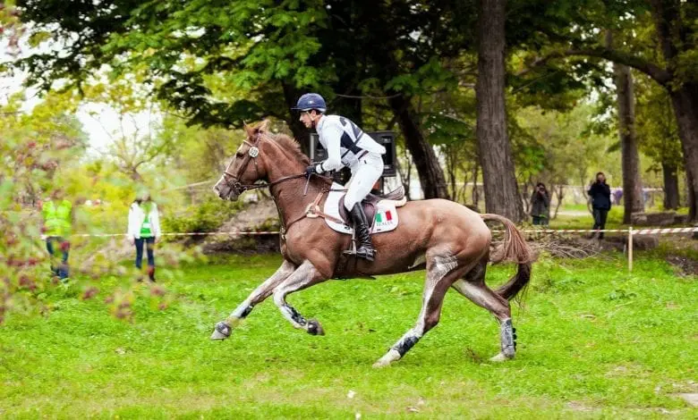 Karpatia Horse Show ajunge la ediția a III-a