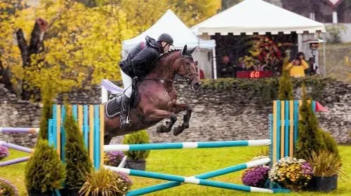 Karpatia Horse  Show 2016