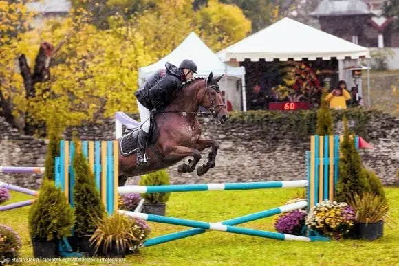 Karpatia Horse  Show 2016