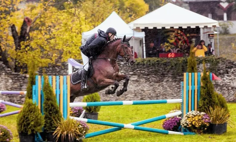 Karpatia Horse  Show 2016