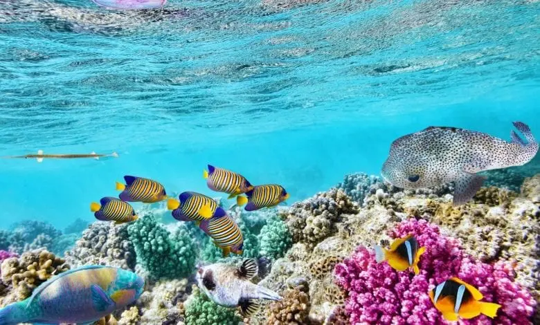 Travel in Style!  Top 5 destinații pentru iubitorii de natură