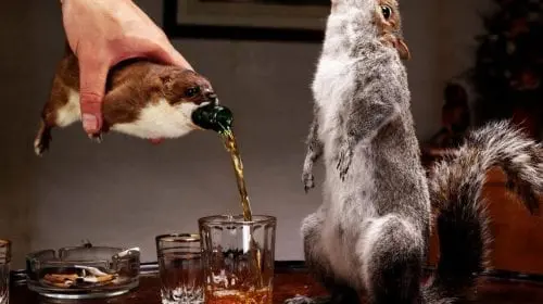 7 out-of-the-box creations by breweries and distilleries