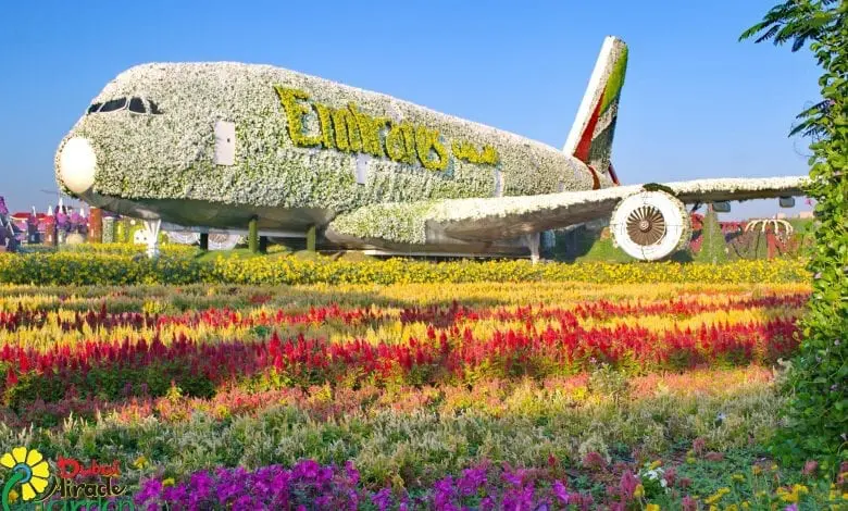 DERTOUR prezintă noile atracții uimitoare ale Dubaiului, pentru toată familia