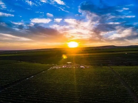 MAUVE Wine Experience III – Festival de muzică și film în via Tohani România