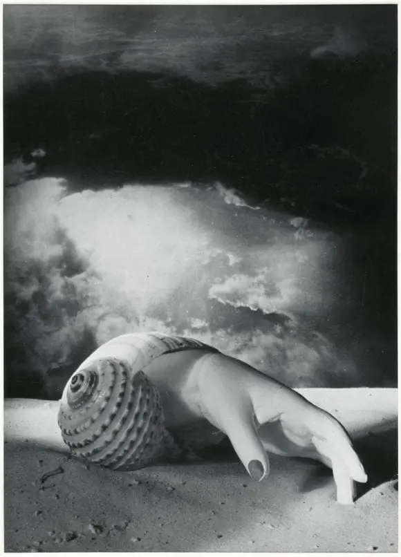 Recomandare: Dora Maar, în expoziție la Tate Modern