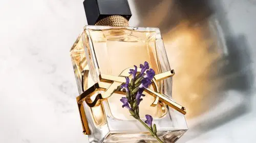 Libre by Yves Saint Laurent