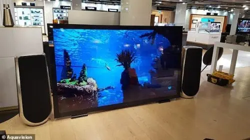 Televizor marca Aquavision, la 130.000 de dolari