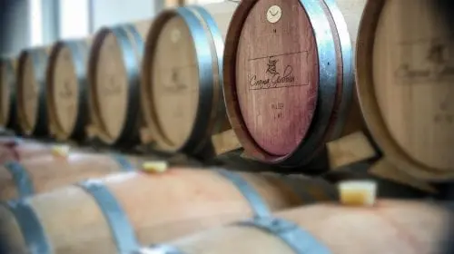 CONSTANTIN – un vin conceput la maturitate deplină!