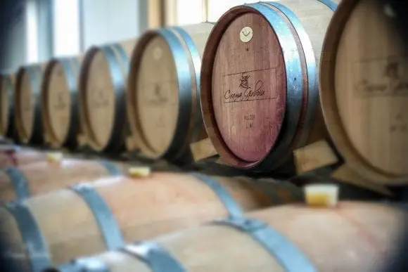 CONSTANTIN – un vin conceput la maturitate deplină!