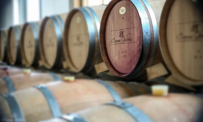 CONSTANTIN – un vin conceput la maturitate deplină!