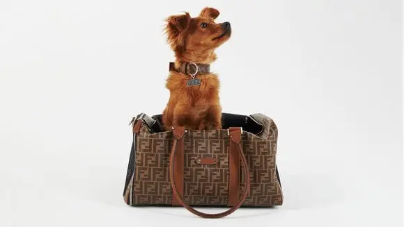 Fendi dezvăluie o nouă colecție de călătorii de lux pentru patrupedul tău