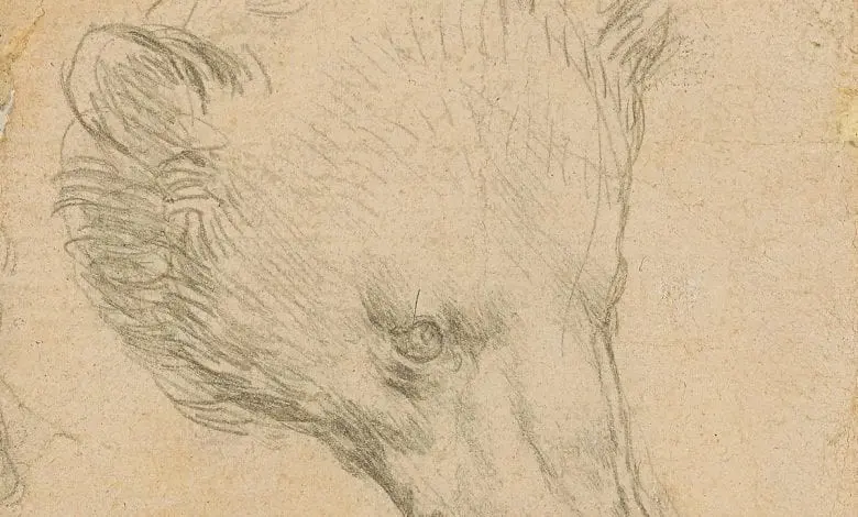 Pictura lui Leonardo da Vinci cu capul unui urs se va vinde la peste 16 milioane de dolari la licitație