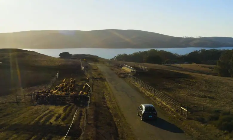 Gunoiul de grajd – noua sursă de energie verde pentru alimentarea de automobile electrice