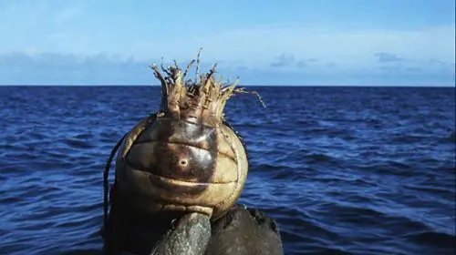 Mingea de volei a lui Tom Hanks din Cast Away a fost vândută cu 308.000 de dolari