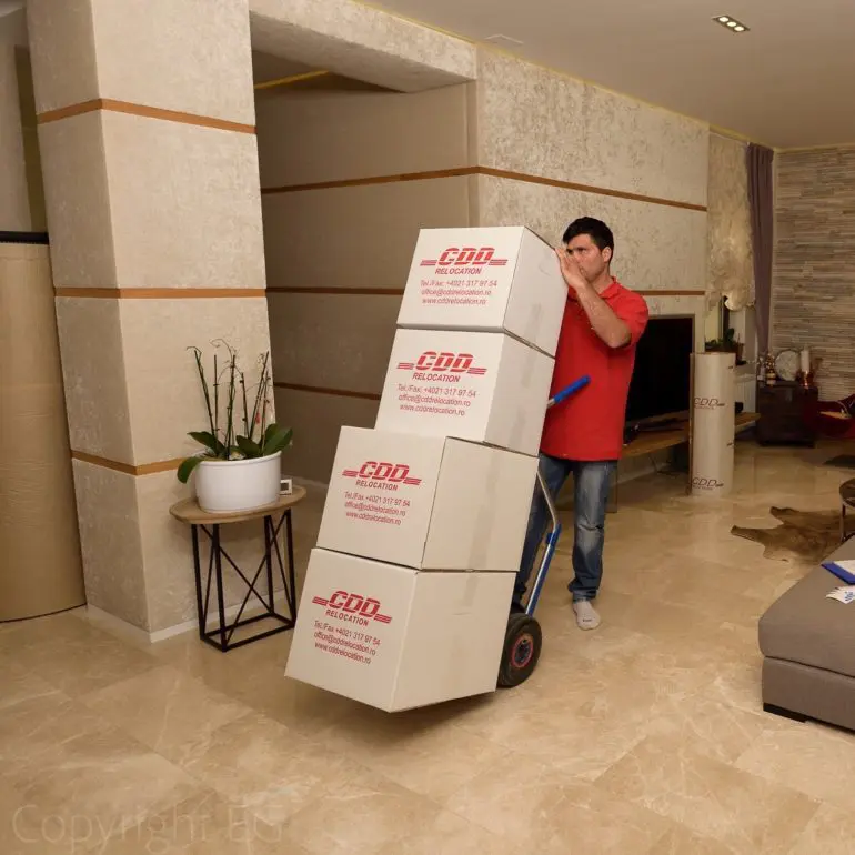 Dana Dascălu: „Încrederea este un factor important în domeniul companiilor de relocare”