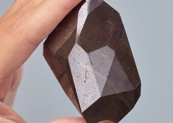 Un diamant negru de 555,5 carate va fi scos la licitație