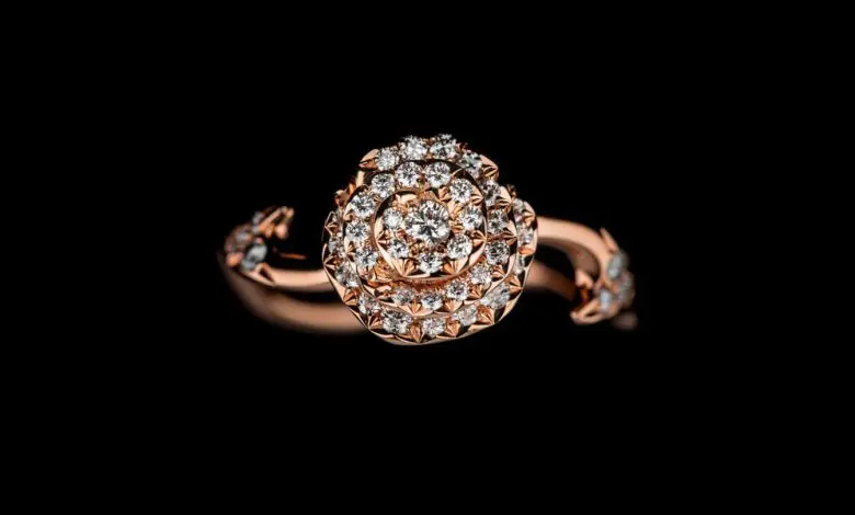 Rose Dior Couture: cel mai frumos trandafir pentru Ziua Îndrăgostiților