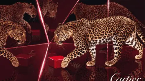 Panthère de Cartier – simbolul luxului feminin