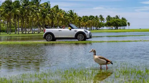 Plăcerea de a conduce un model electric, pentru prima dată cu un model decapotabil