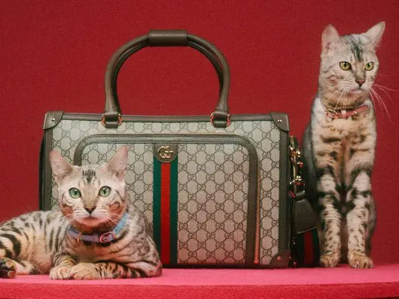 Gucci a dezvăluit o nouă colecție pentru animalele de companie