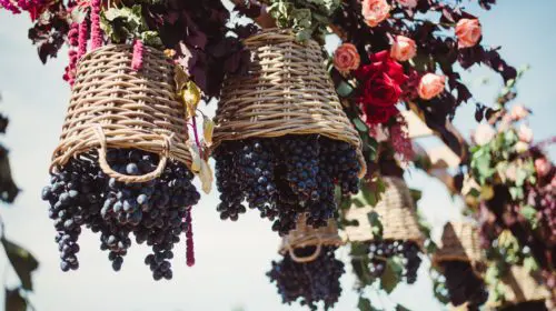 Domeniile Ostrov a organizat Sărbătoarea Toamnei