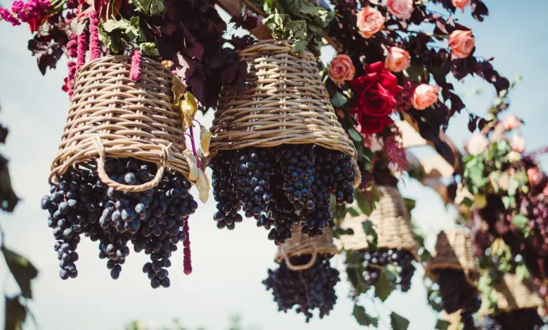 Domeniile Ostrov a organizat Sărbătoarea Toamnei