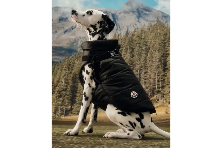 Moncler