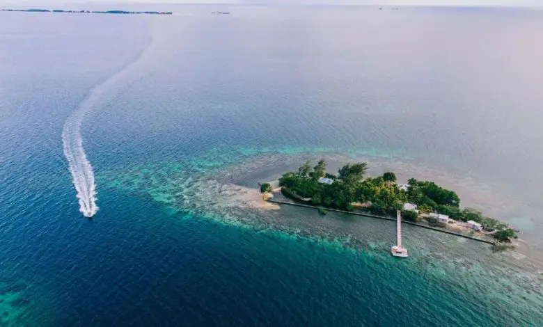 Insula lui Francis Coppola a fost scoasă la vânzare