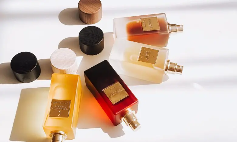 Testament Collection – Discover all dimensions of smell