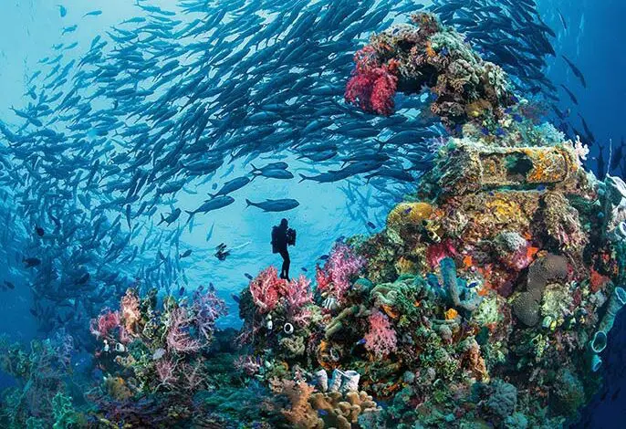 7 aventuri subacvatice fantastice de experimentat în jurul lumii