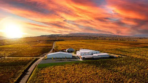 Livia Gîrboiu, director executiv al Cramei Gîrboiu: „Vă anunțăm cu mândrie că deținem titlul de «Cel mai bun producător de vin din România»”