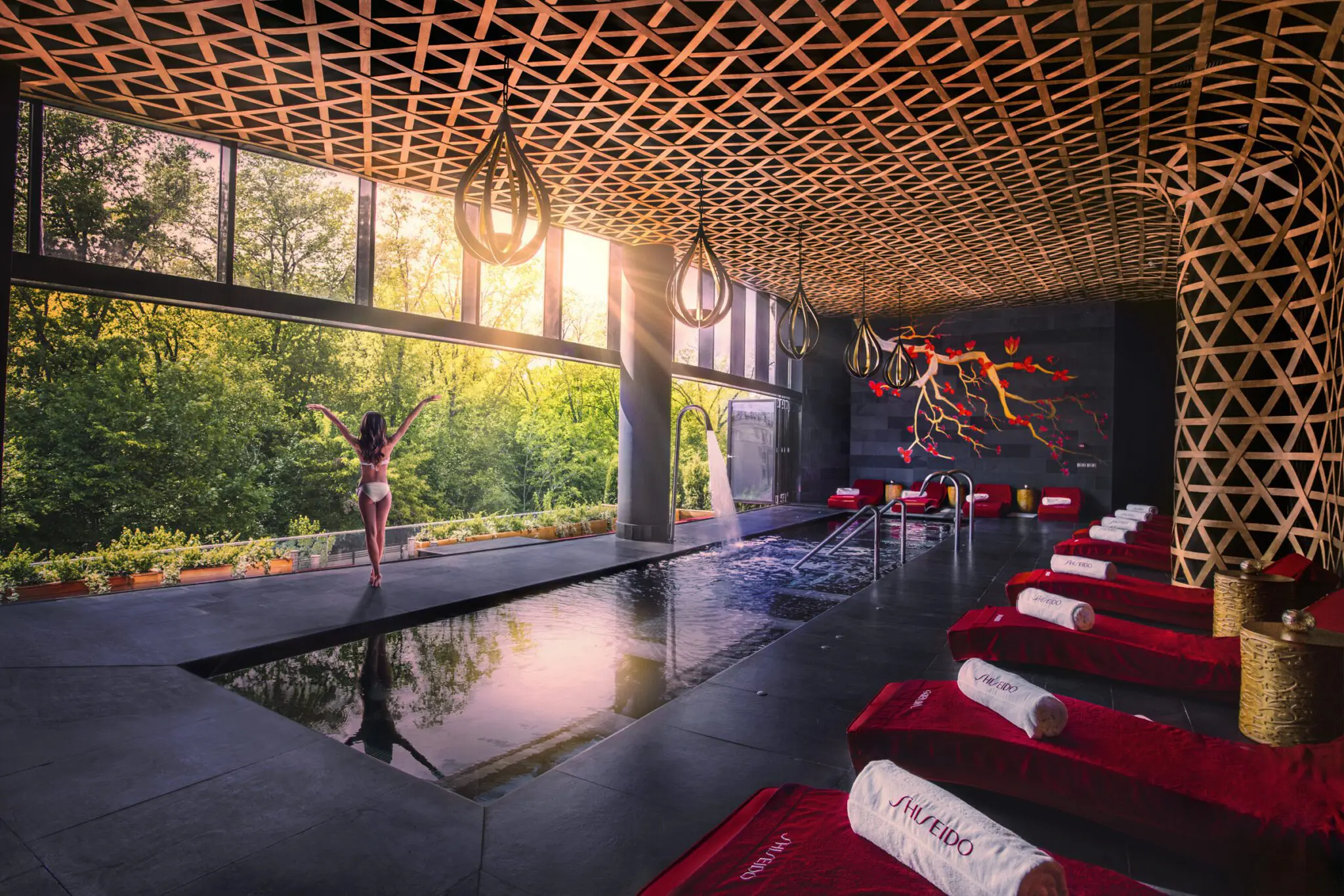 Shiseido Spa