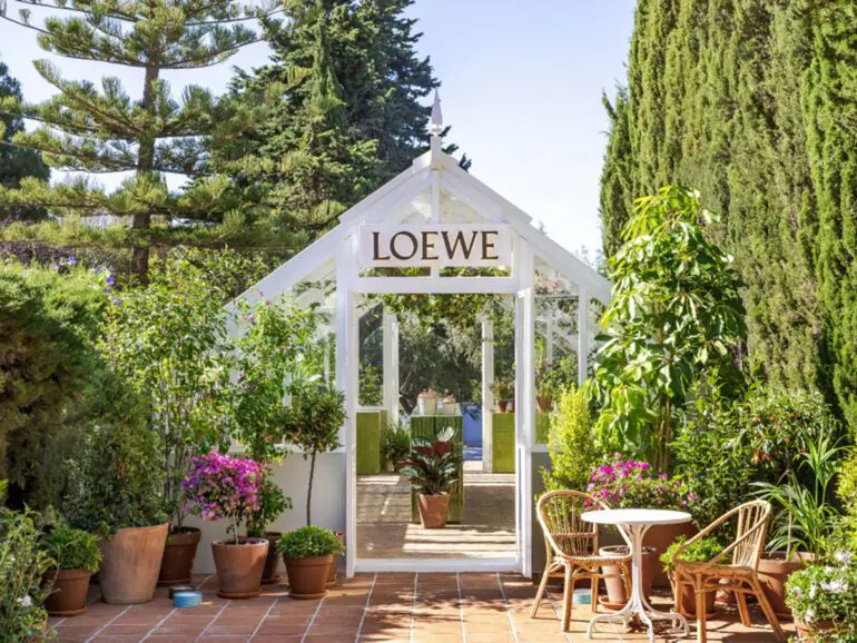 Loewe