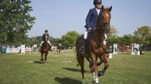 Karpatia Horse Show 2024 începe la Domeniul Cantacuzino