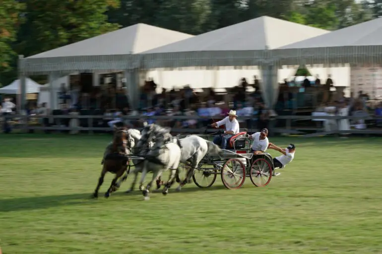 Karpatia Horse Show este un eveniment unic în România