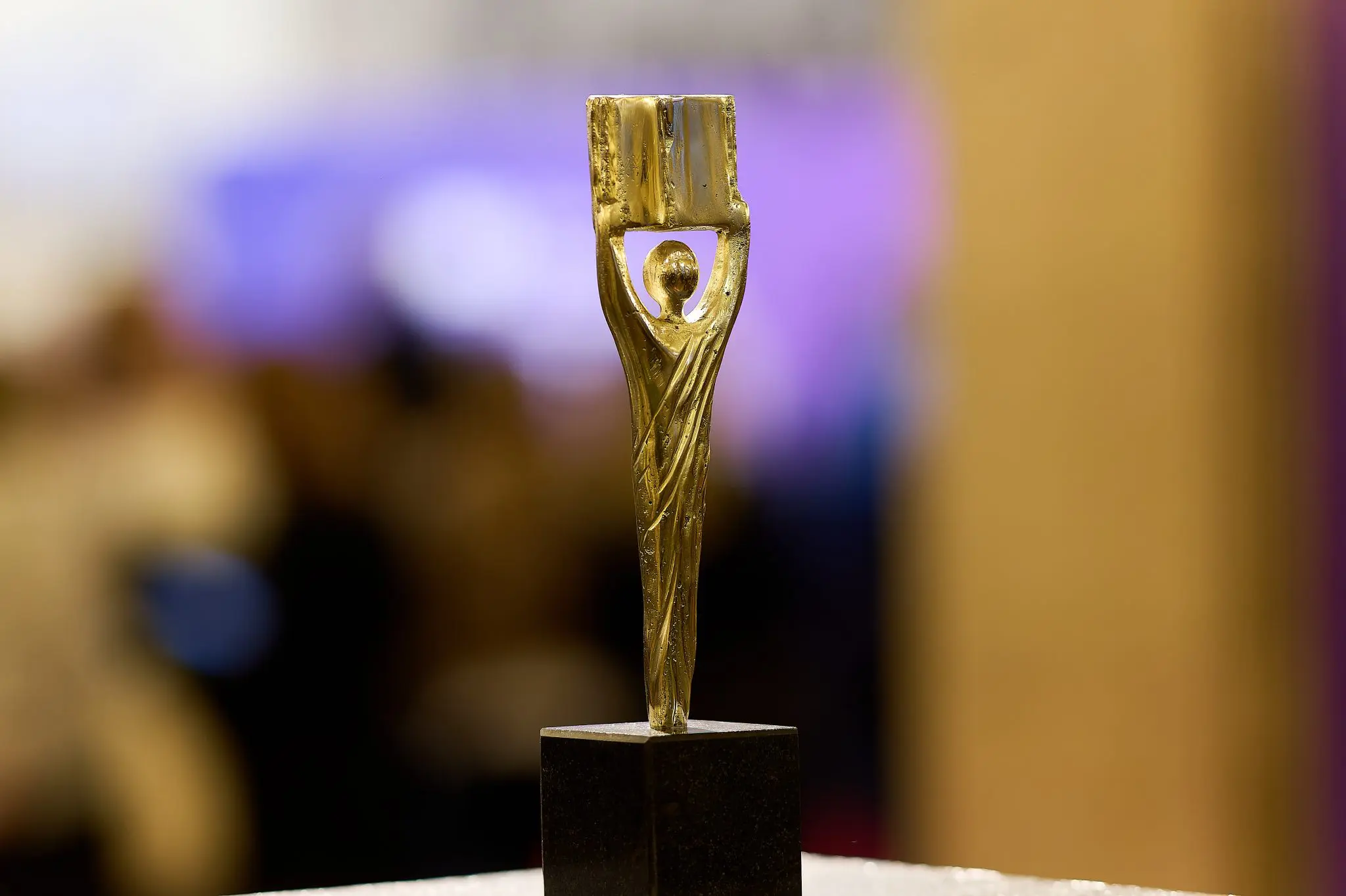 Gala Premiilor Literare 2025