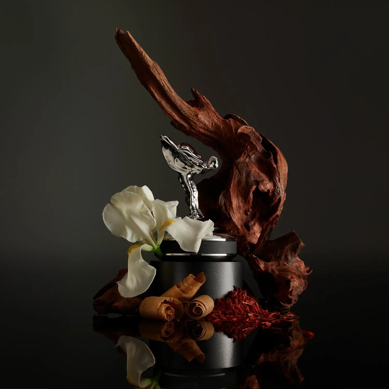 Rolls-Royce Scent prezintă un concept captivant de parfum